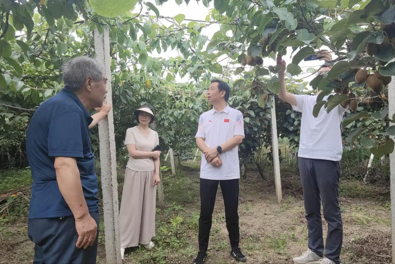 伟德国际1946bv官网